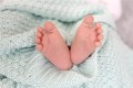 babuniamieta2.jpg