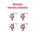 6_68_077_vision_PL.jpg